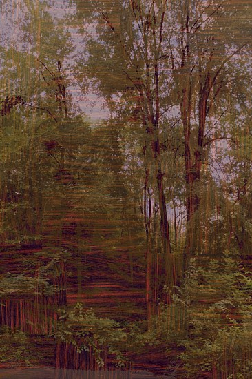 Gary Carsley, D.75 Lake Foreshore Nocturne, 2008
Lambda monoprint, 47 x 31.5 inches (120 x 80 cm)