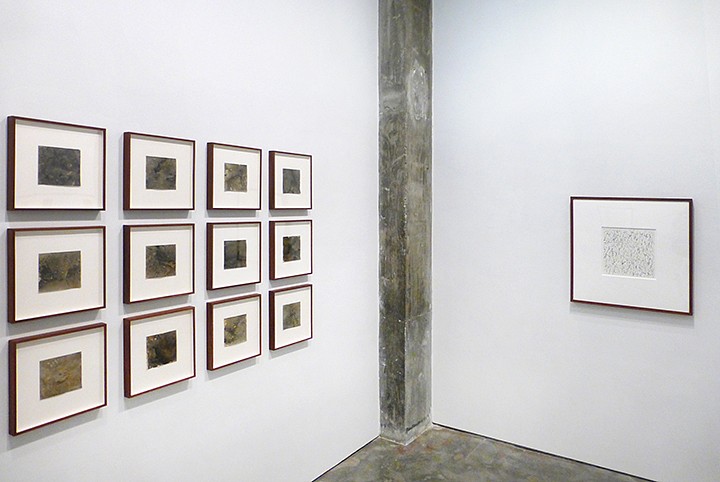 Tad Mike -- Drawing Through: France & Poland - Installation View