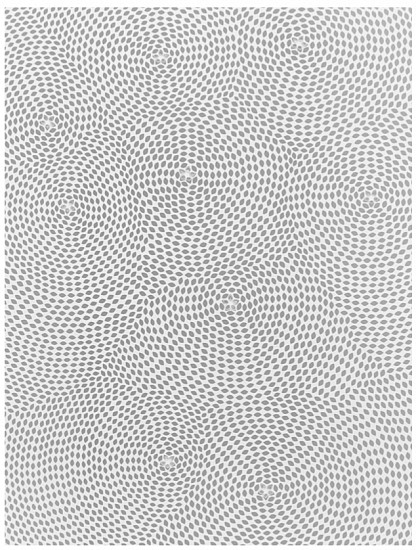 Jaq Belcher, Beyond Home, 10,575 cuts, 2016
Hand-cut paper, 69 x 55 inches (175 x 140 cm)