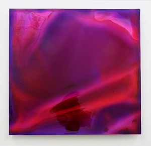 News: Cathy Choi at the Hunterdon Art Museum in group exhibition Red Matters, January  3, 2017