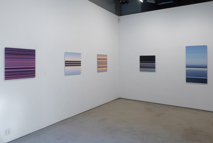 Anna Bogatin Ott: Nature and Circumstance - Installation View